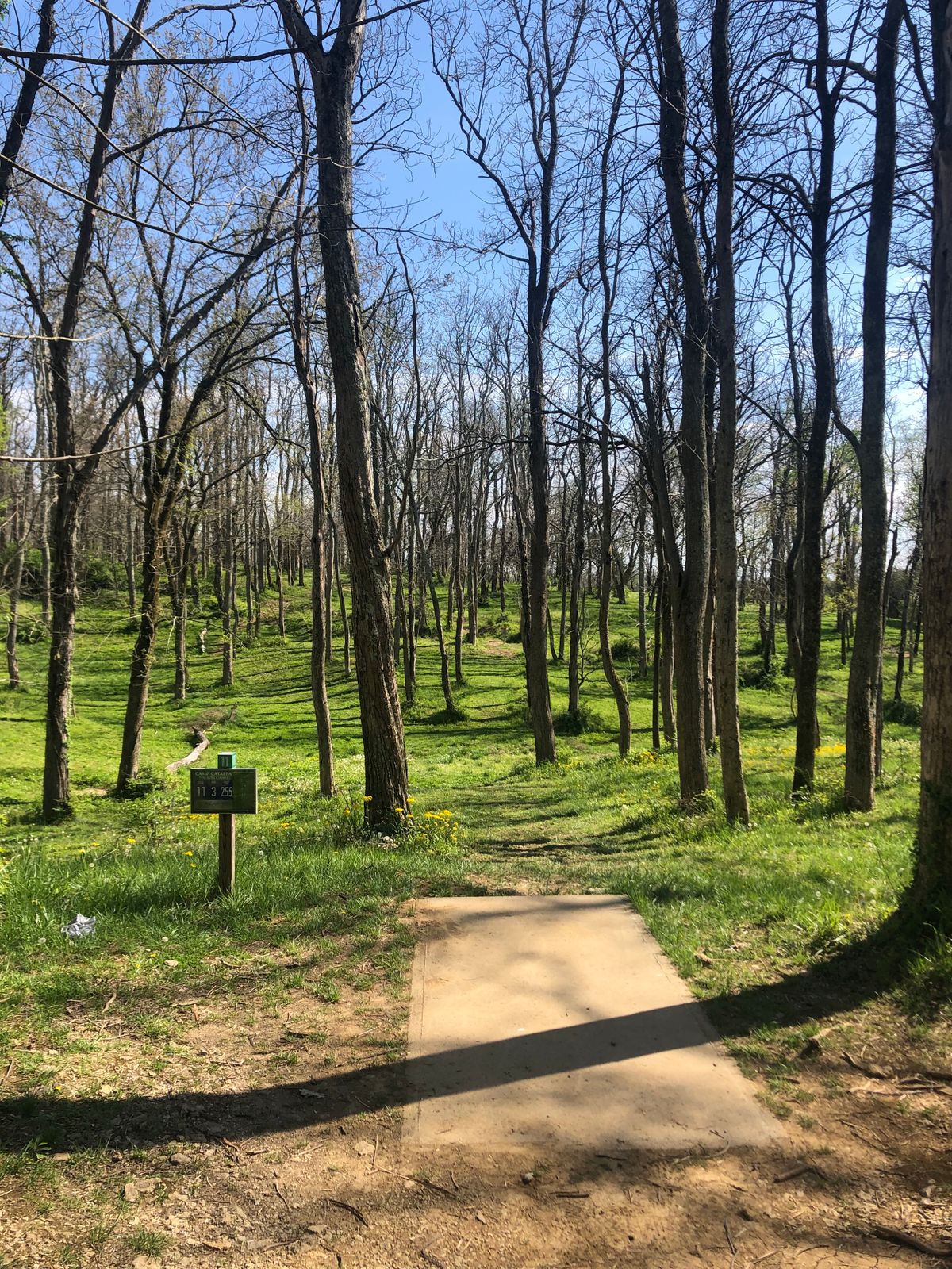 Hole 11 tee