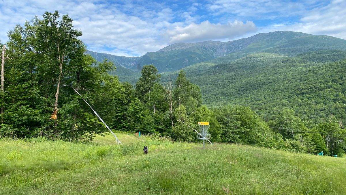 Green of 14 with the White Mountains in the background