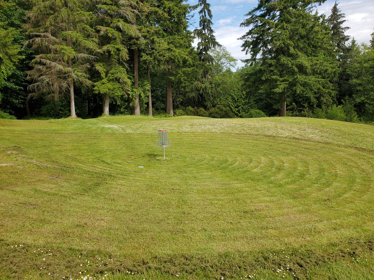 Green for Hole 2