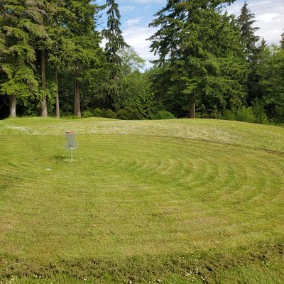 Green for Hole 2