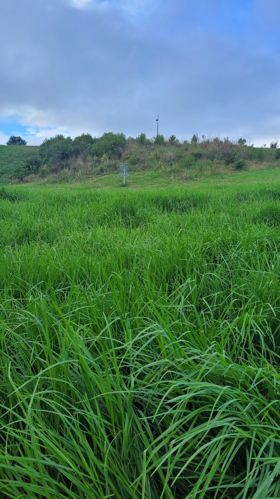 Hole 1