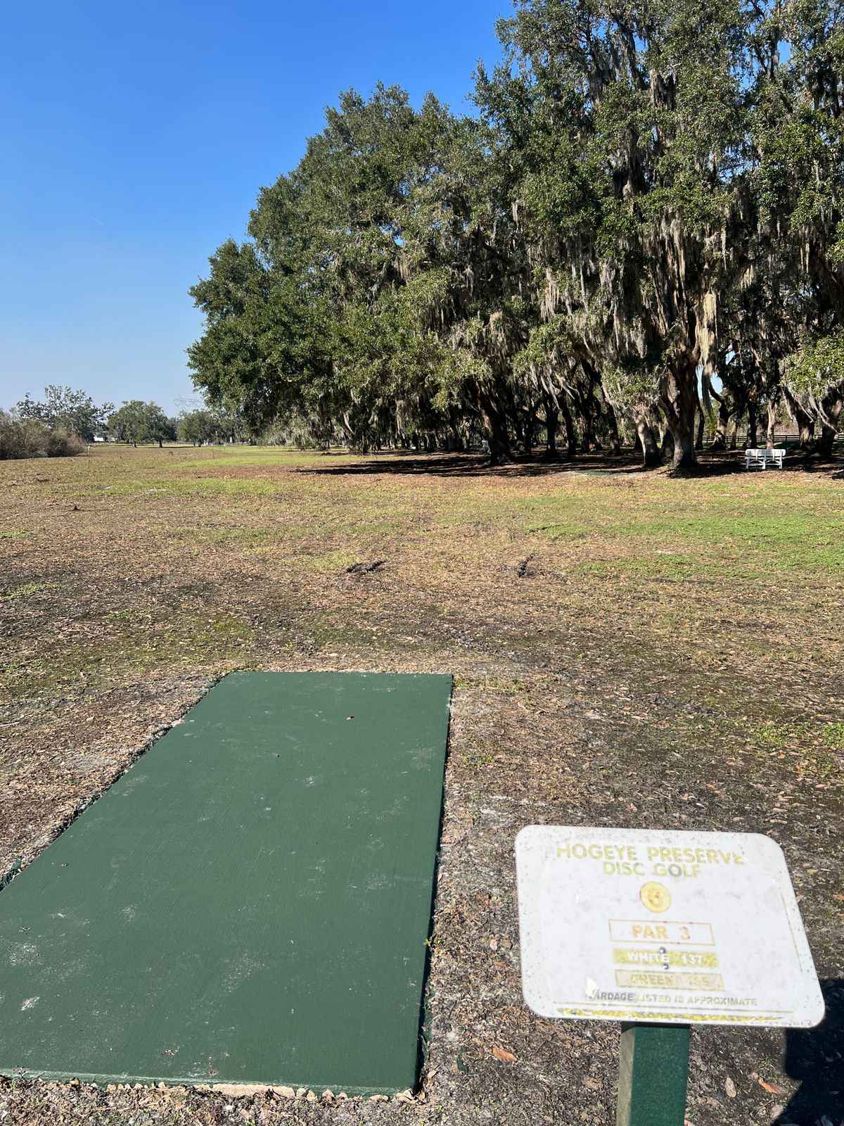 Hole 6 Green Tee