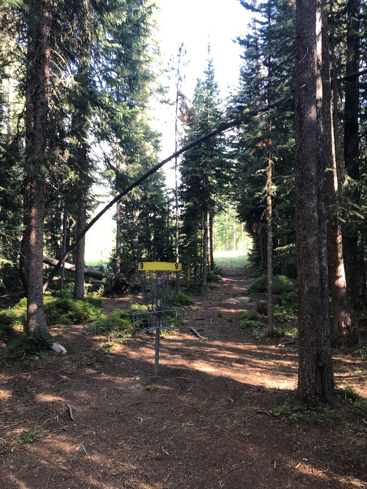hole #9 - tough gap to hit