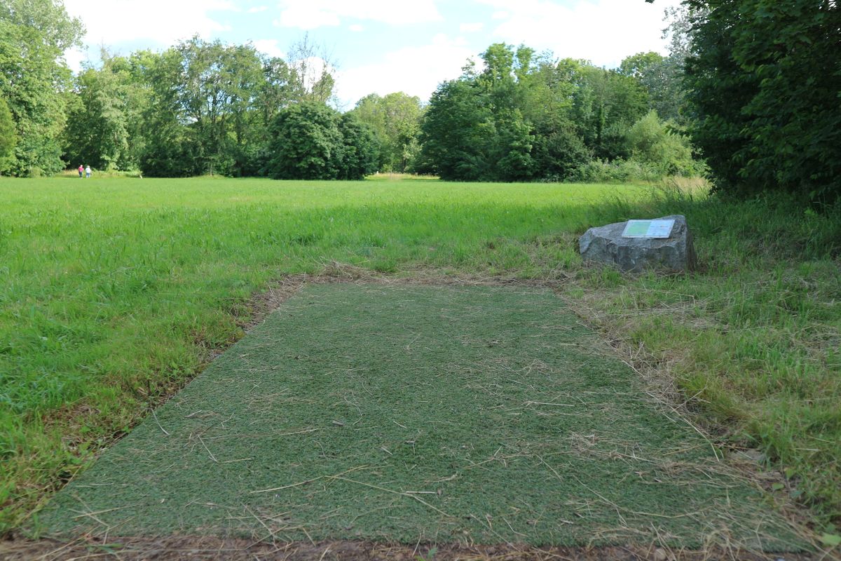 Tee from hole 6