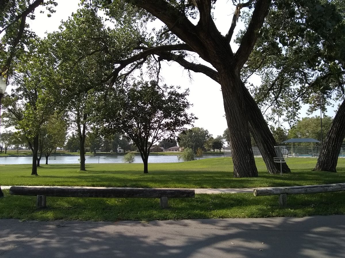 Beautiful Cottonwoods.