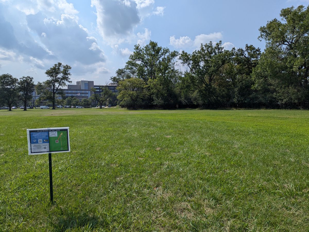 Hole 8 - Short