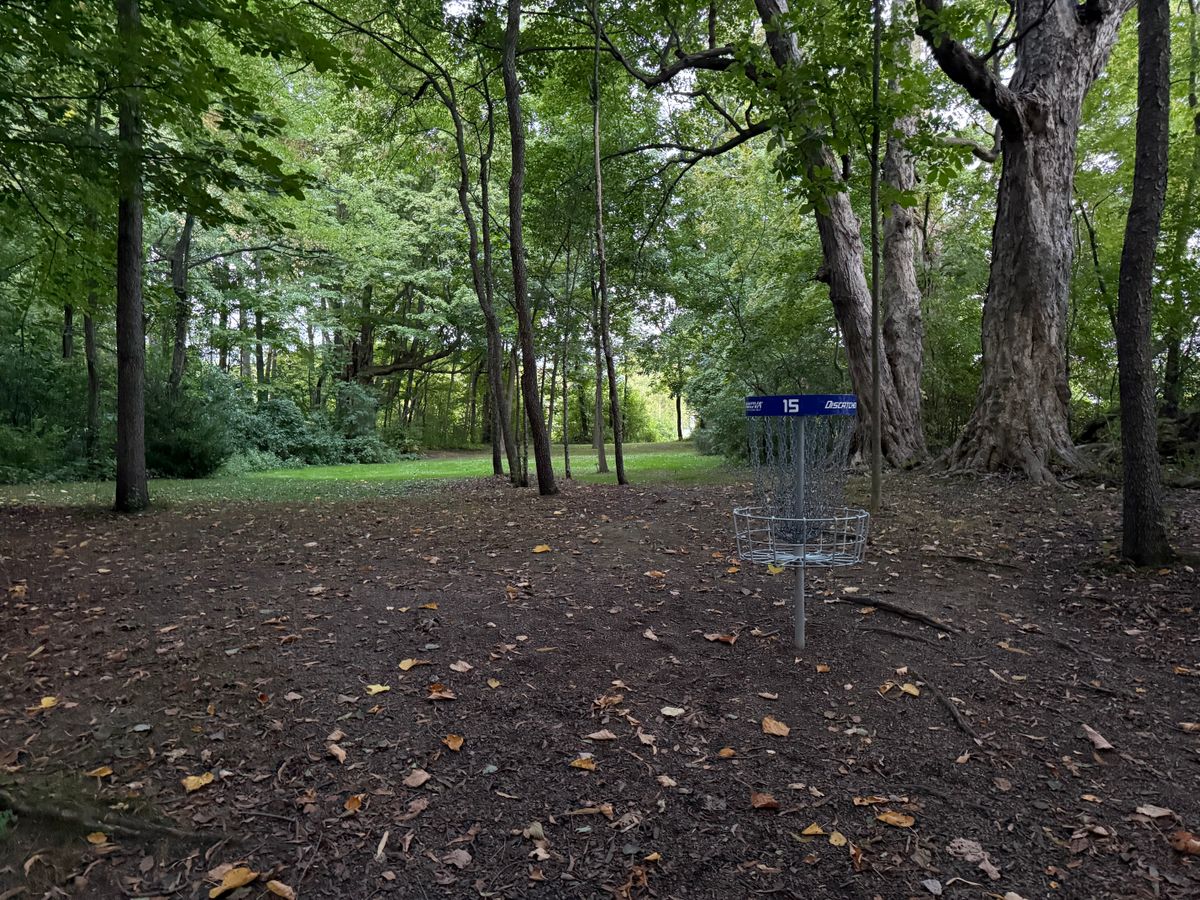 Hole 15 Basket to Tee