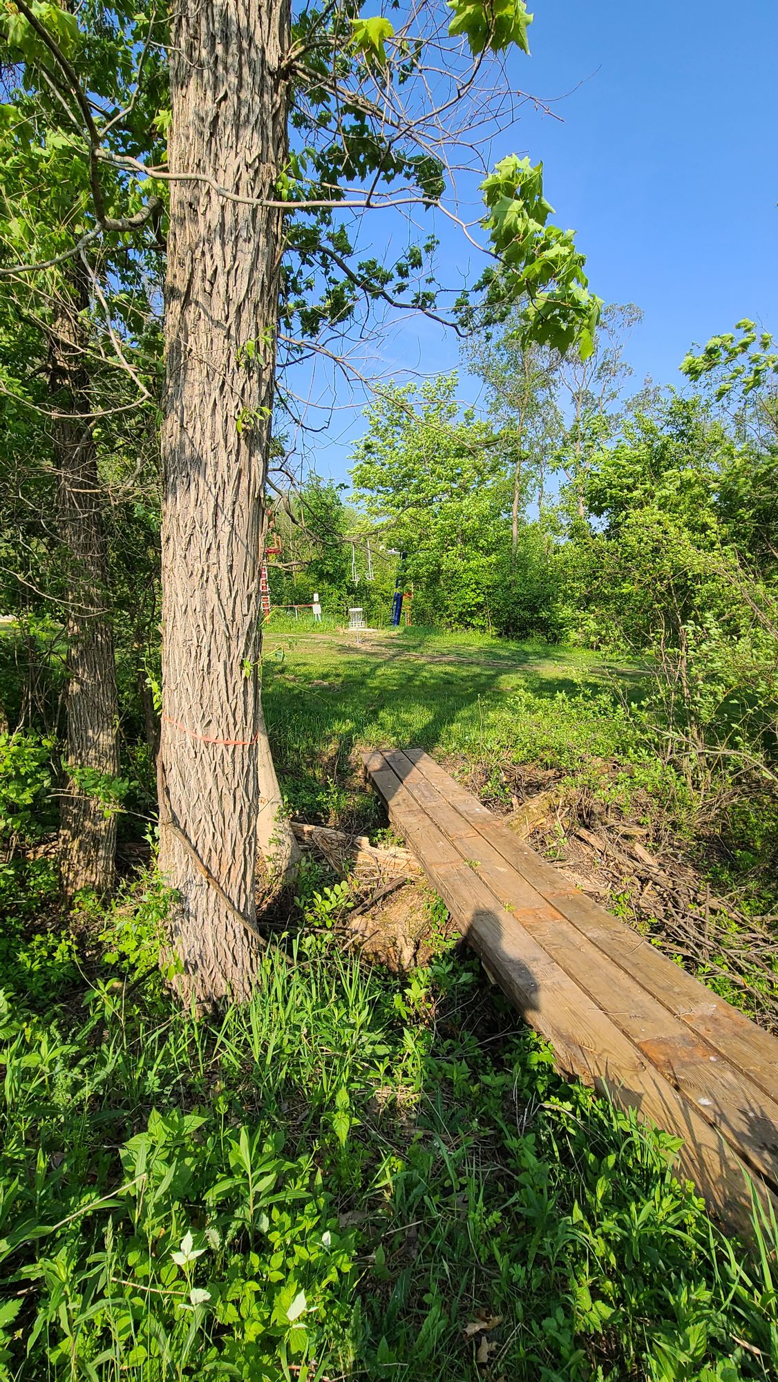 Hole 5 approach to the basket