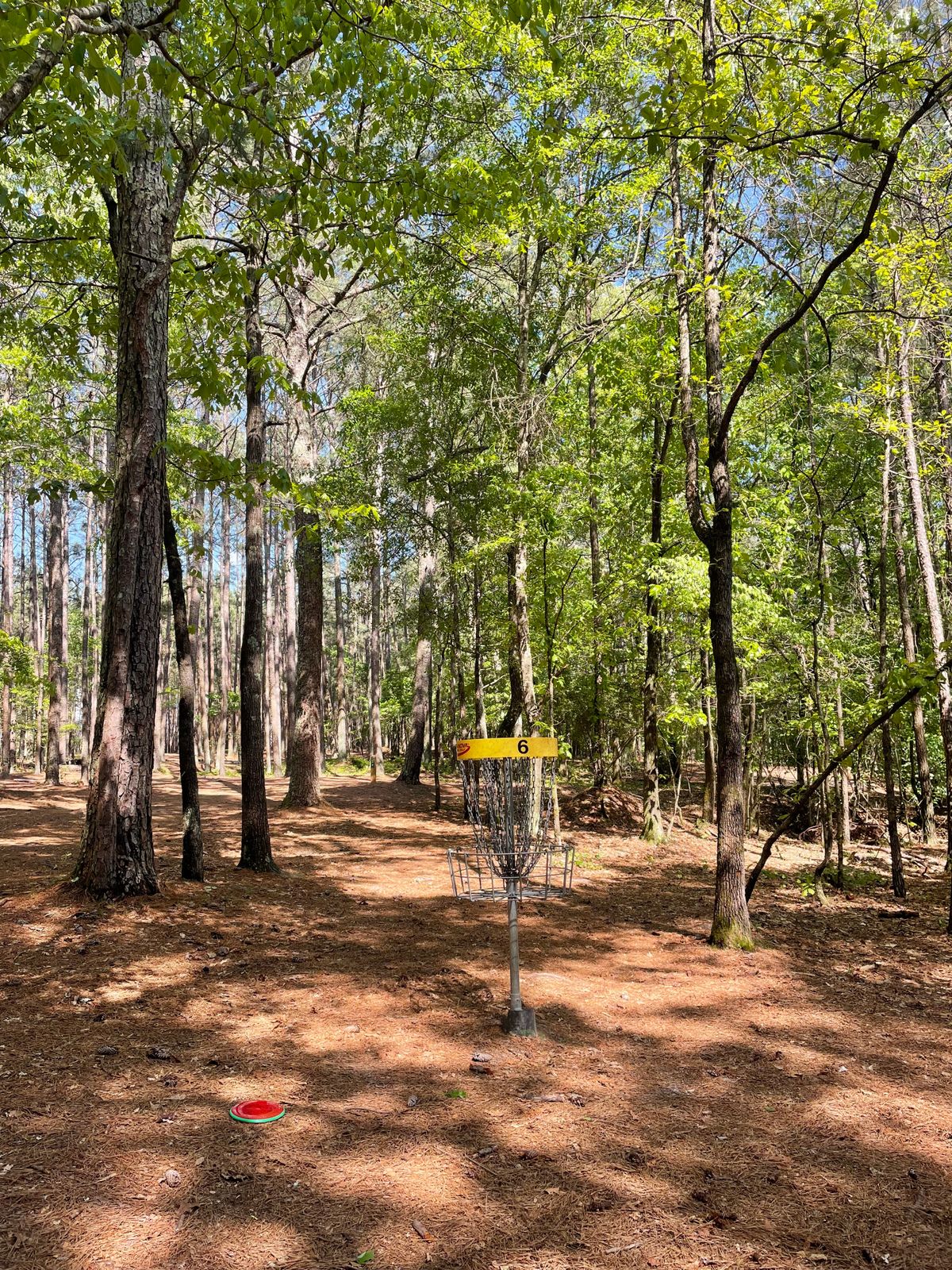 Hole 6 basket