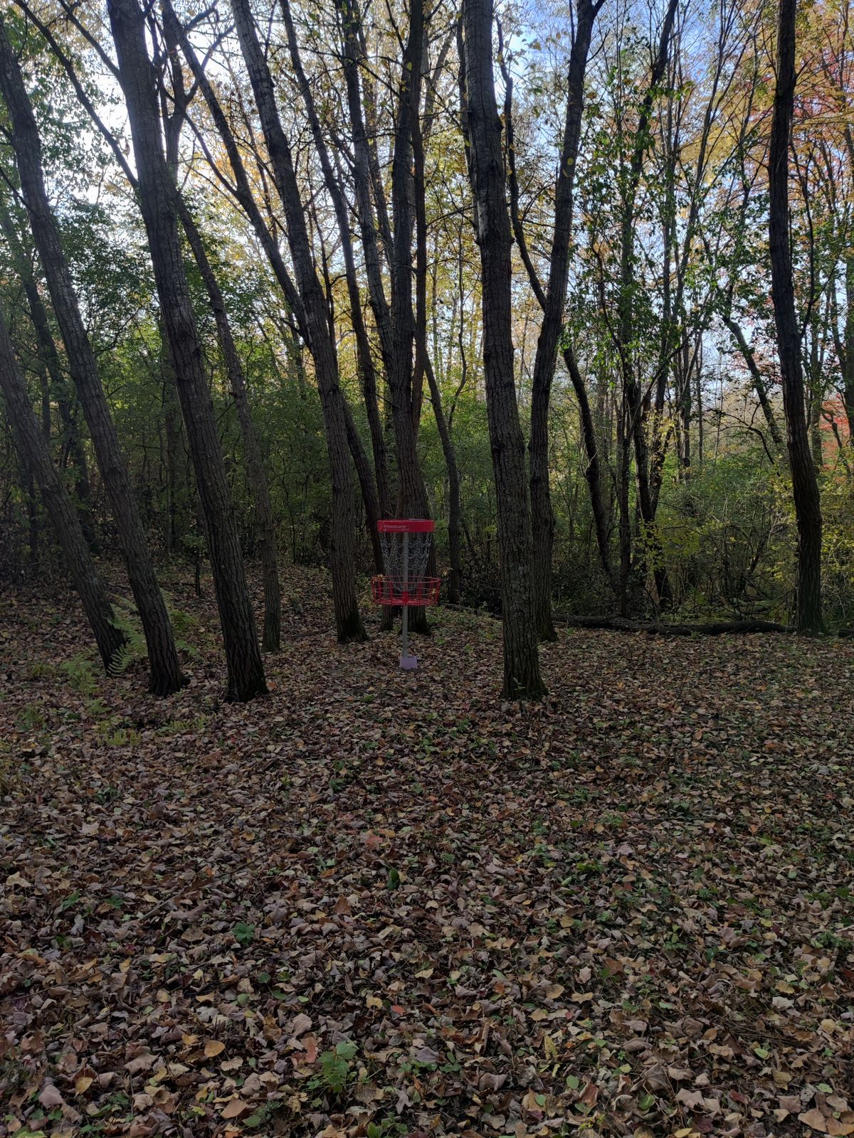 16 Basket