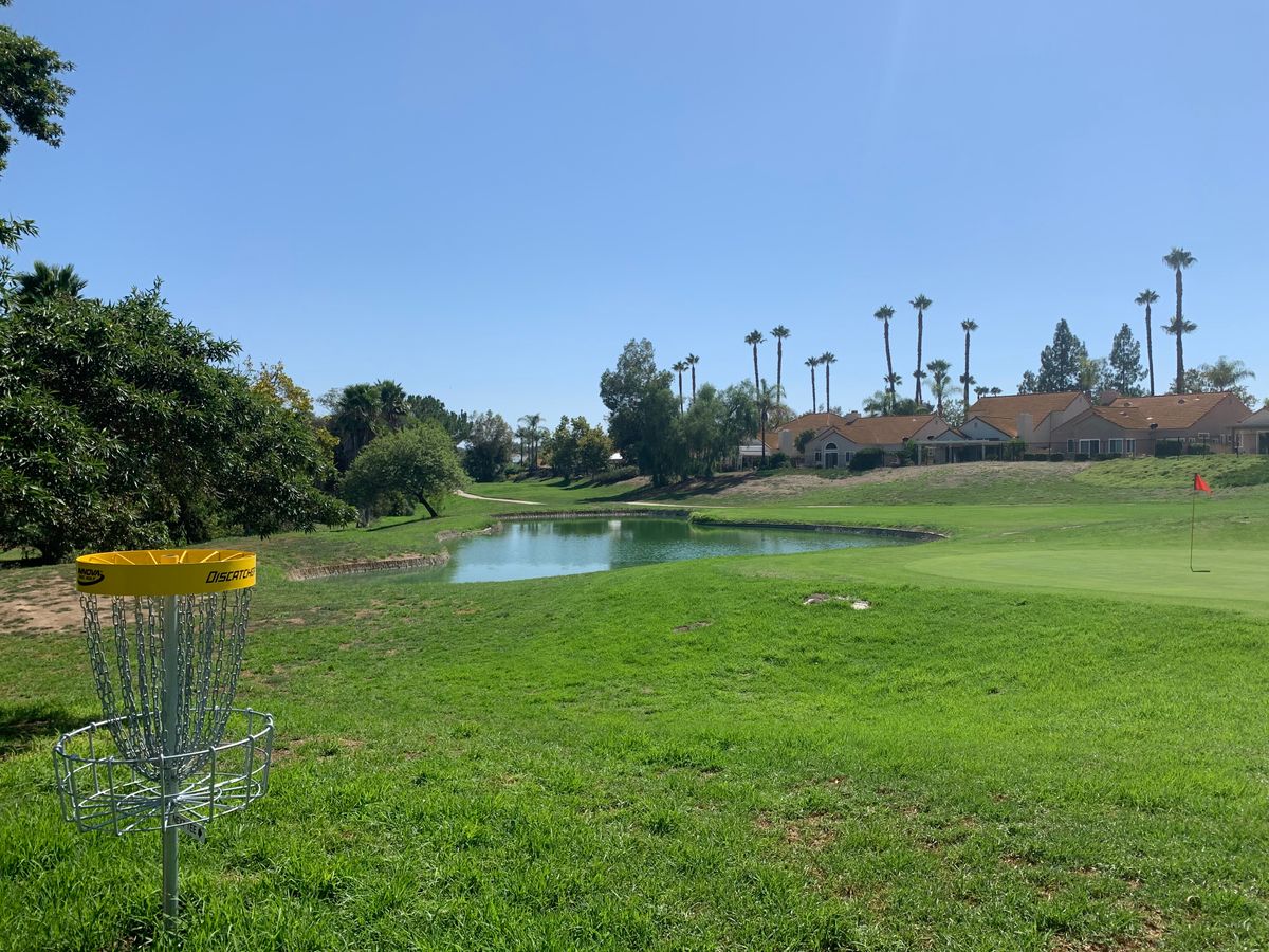 Alpha Hole 3 Basket