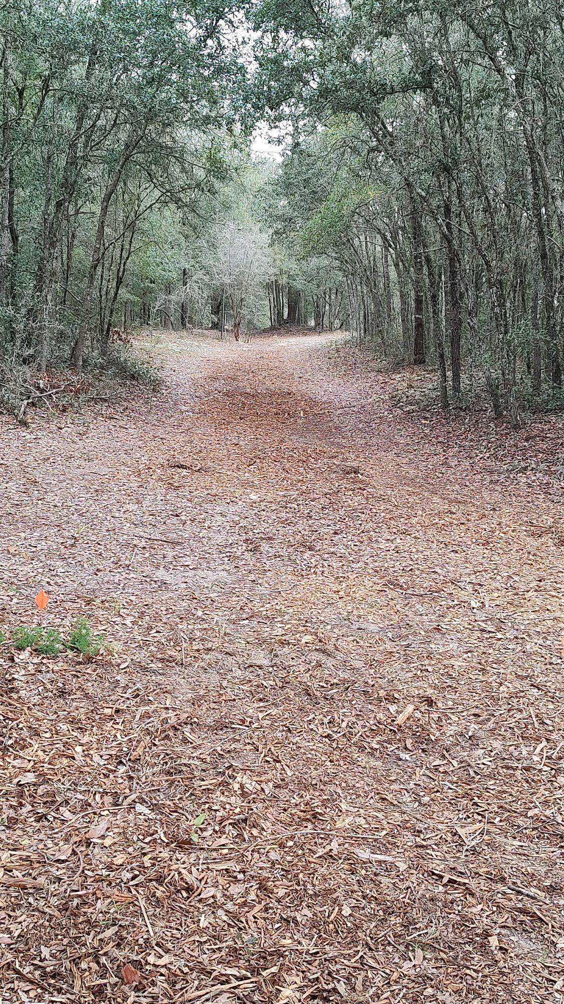 Hole 2
