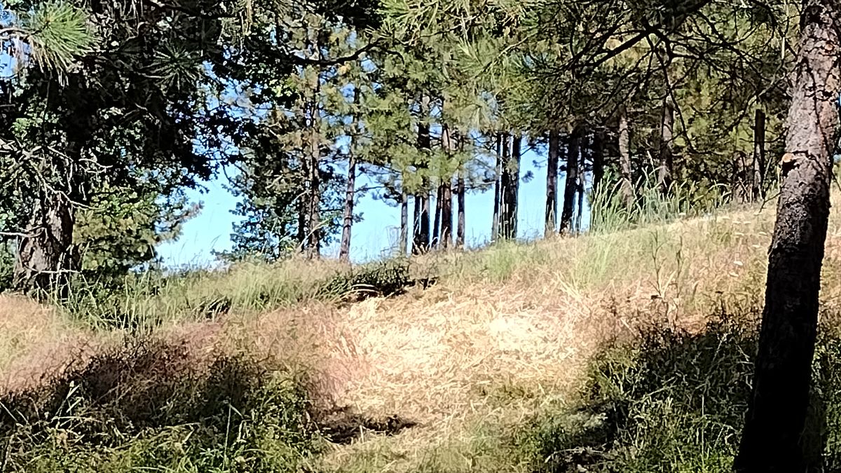Hole 18 fairway