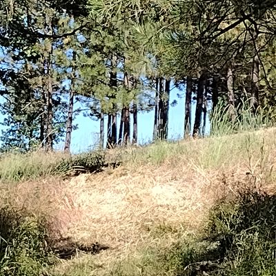 Hole 18 fairway
