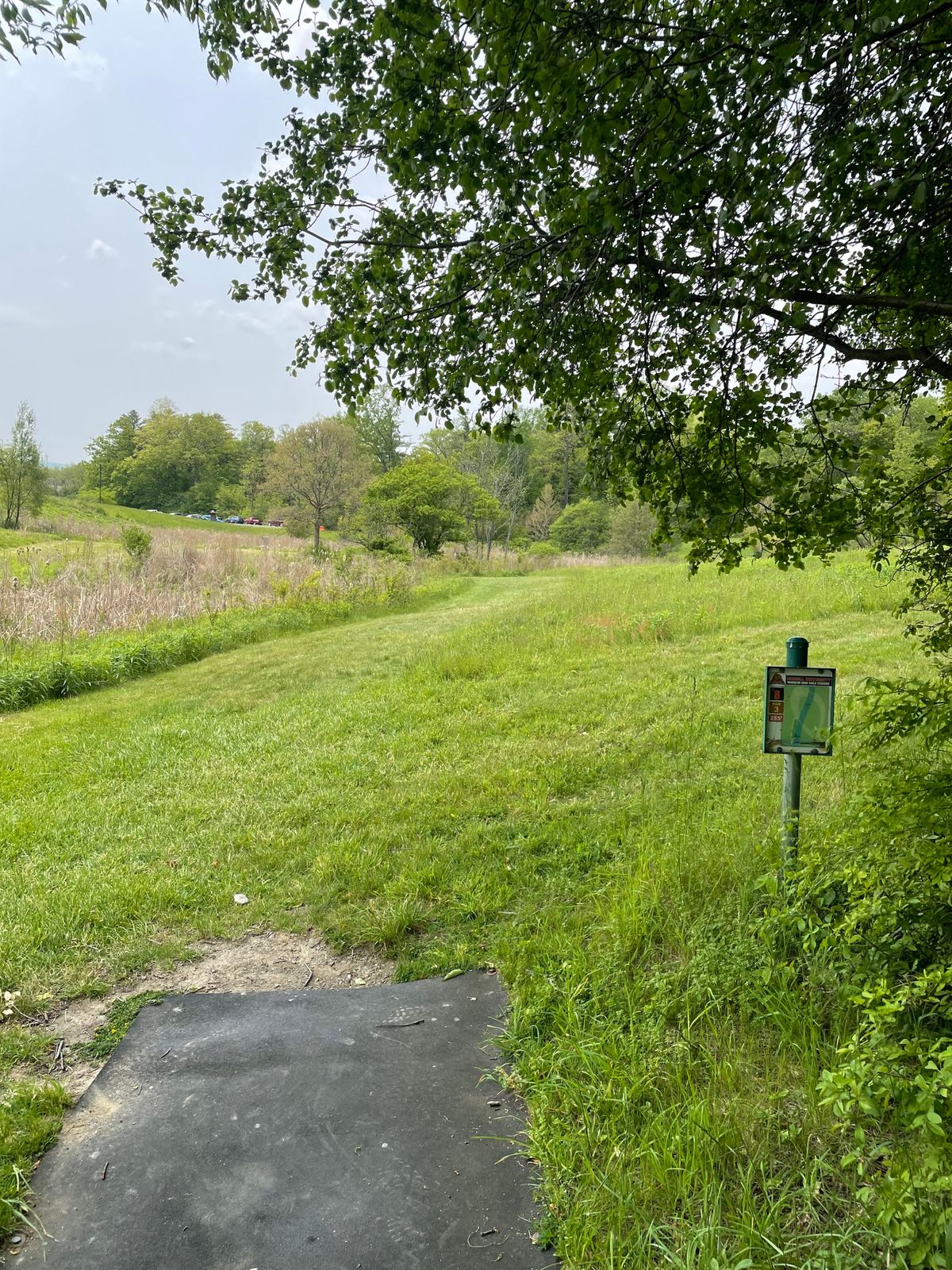 Hole 8, tee