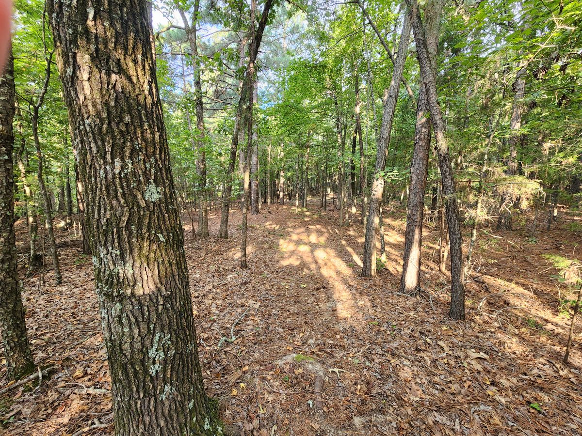 Hole 6 is the Halloween hole and is shortest at 170 feet.