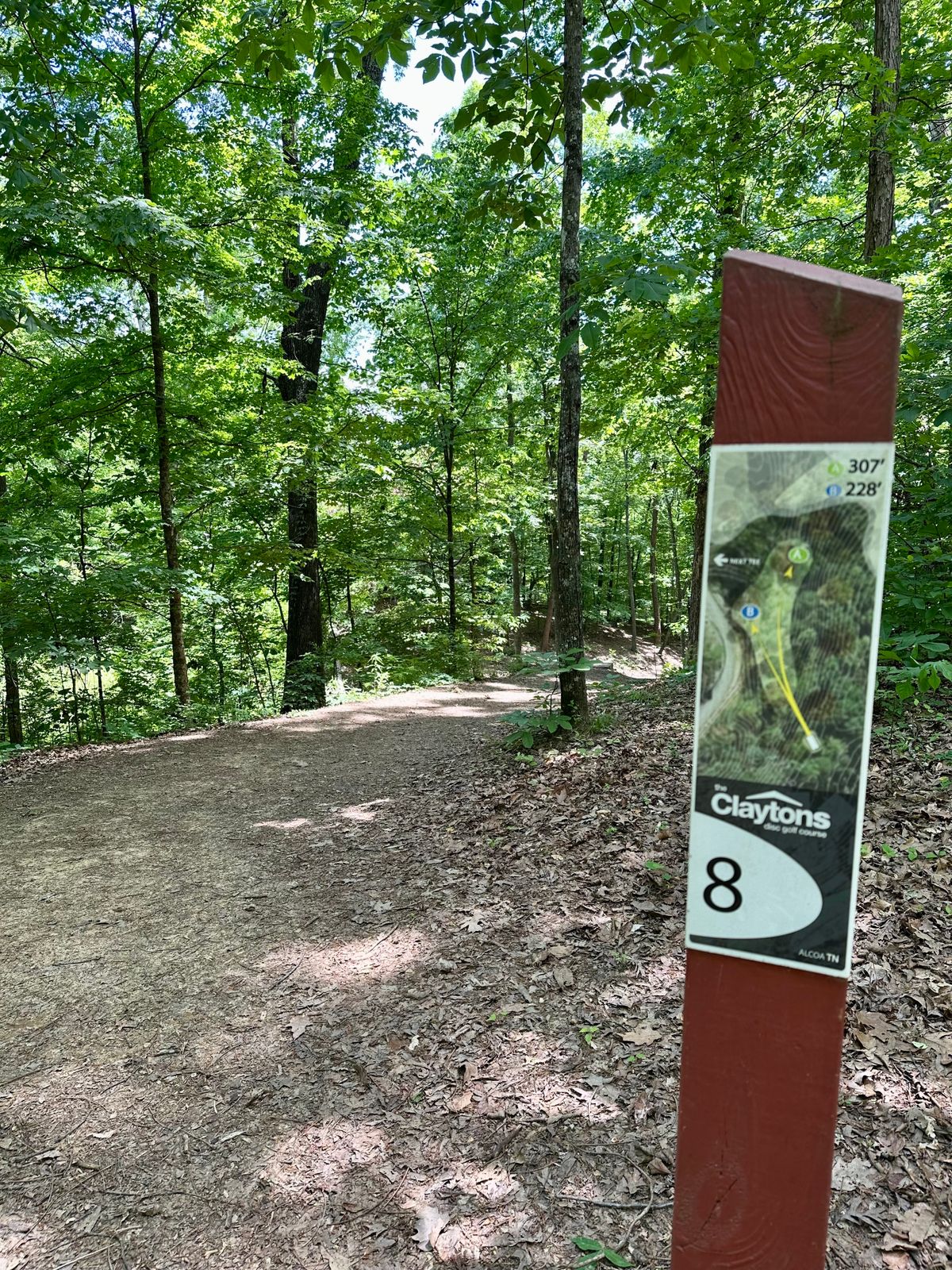 Hole 8