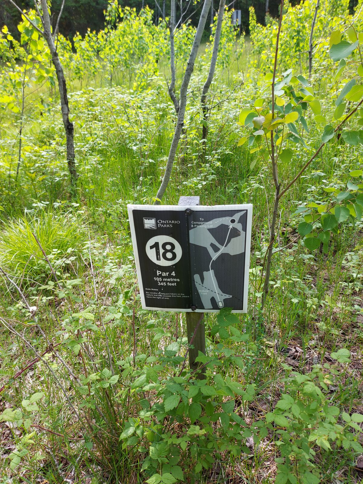 Hole sign 18 ,345ft 🌲🌲🌲🌲