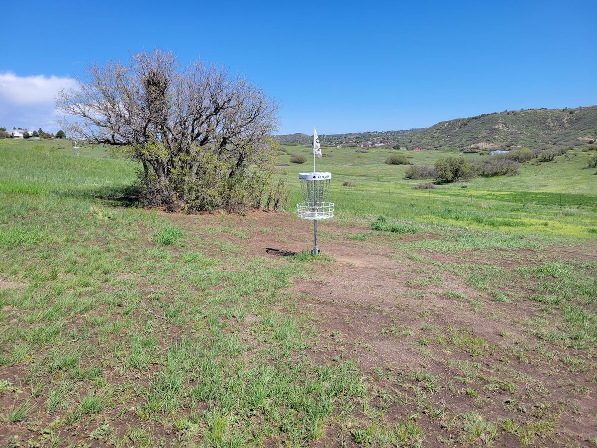 Hole 4