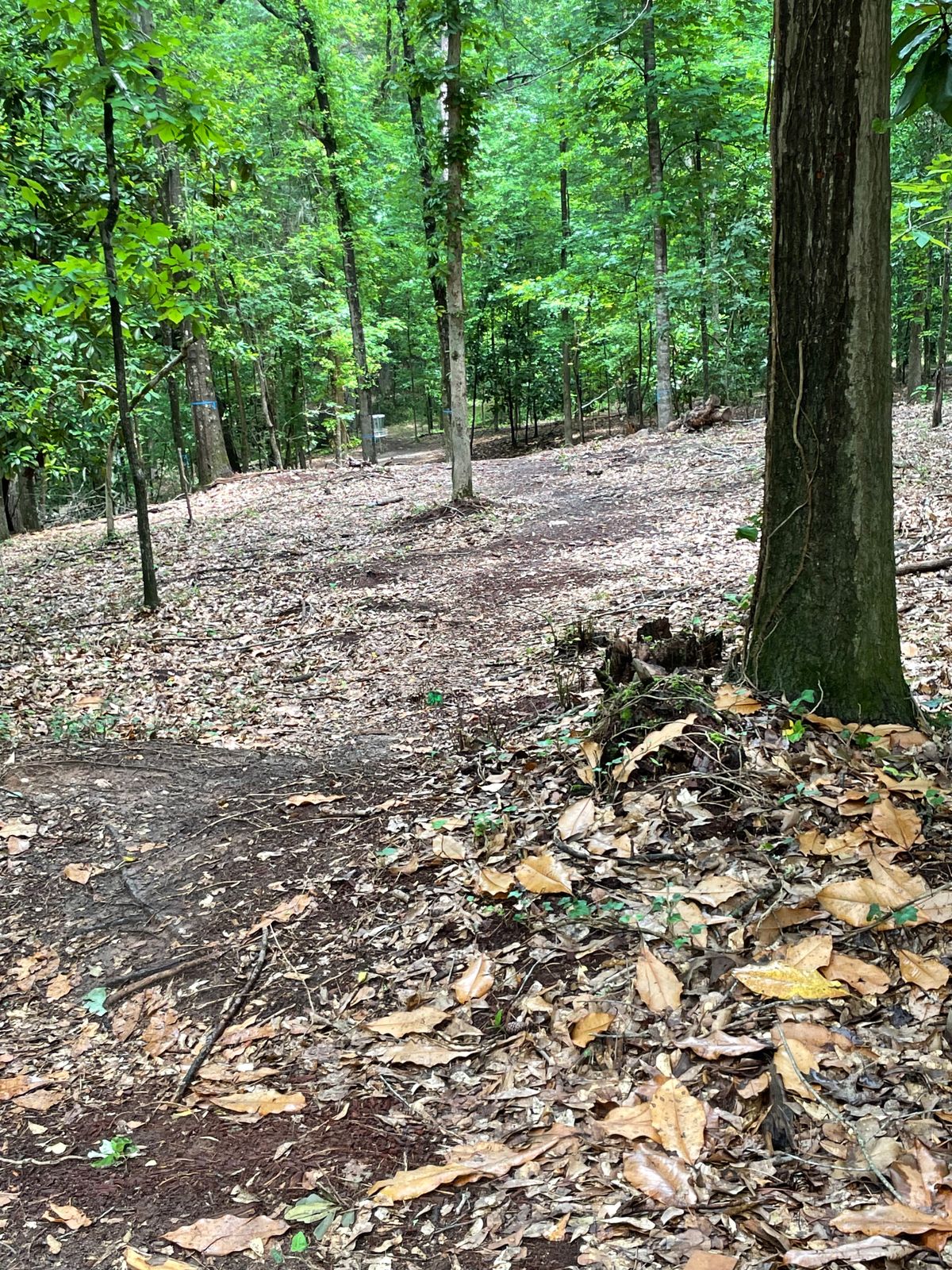 12 - Downhill bending to the left