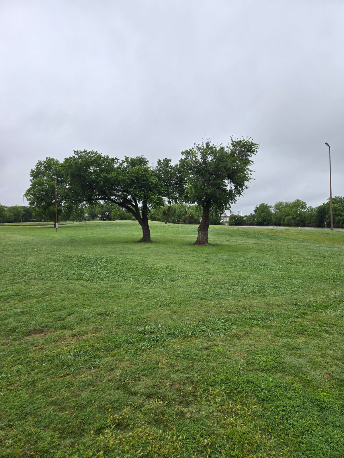 Hole 1 Tee