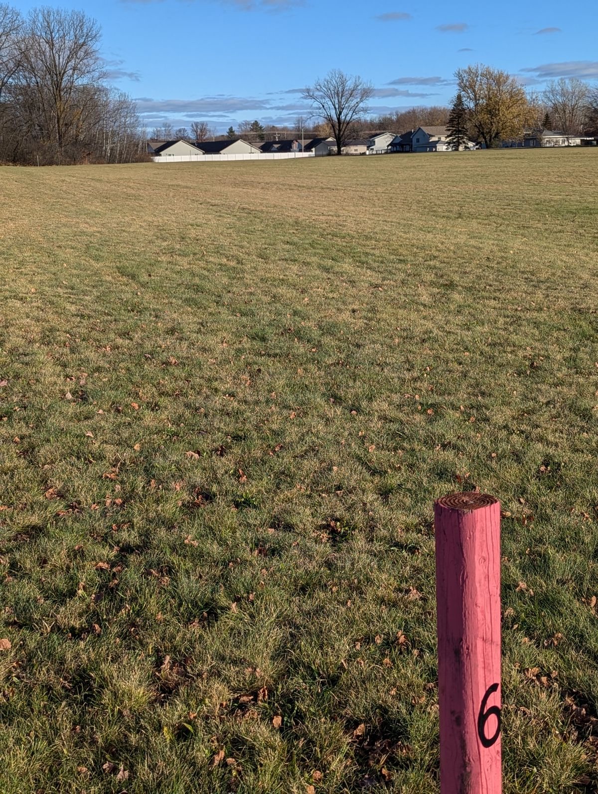 Hole 6 tee box facing basket 6