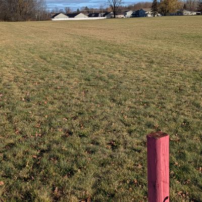 Hole 6 tee box facing basket 6