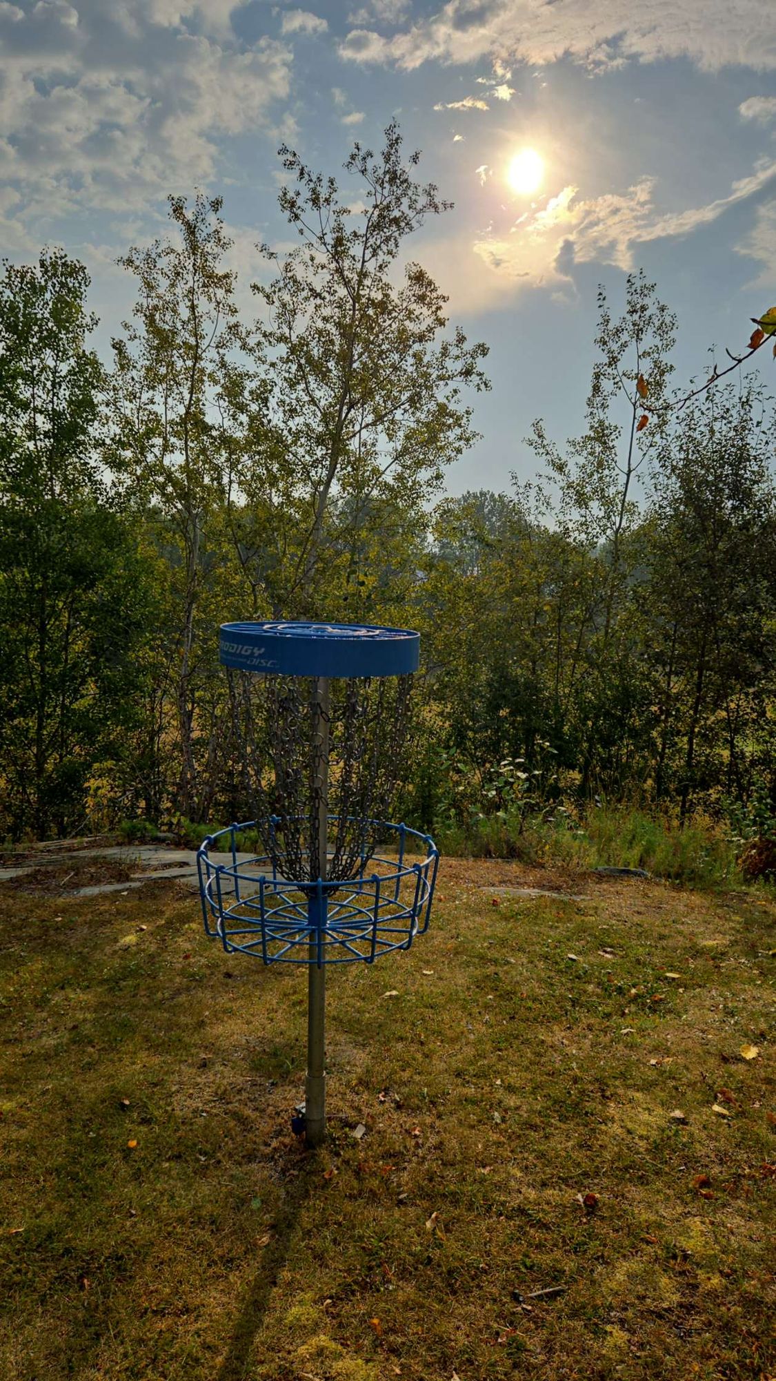 Sun rising behind the basket on Creekside hole 11.