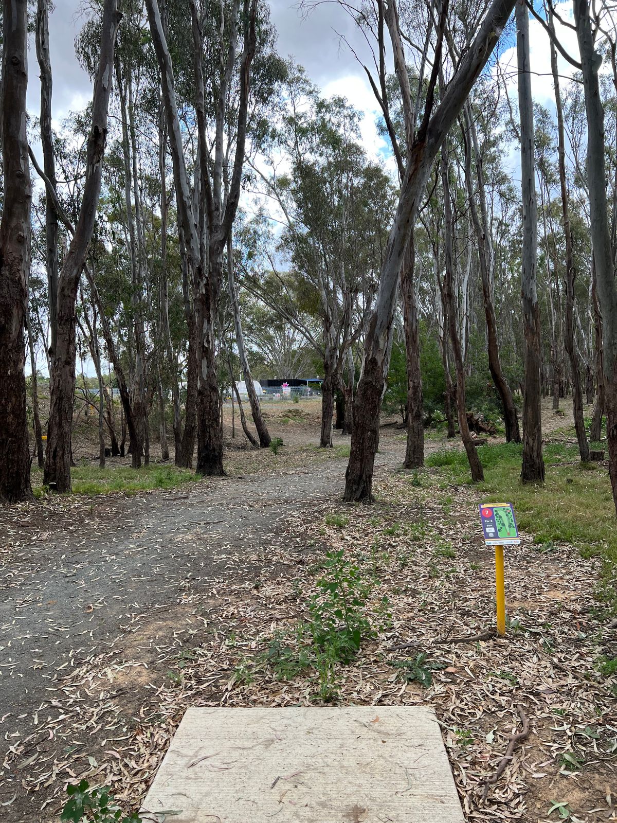 Hole 7s tee
