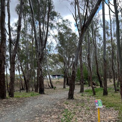 Hole 7s tee