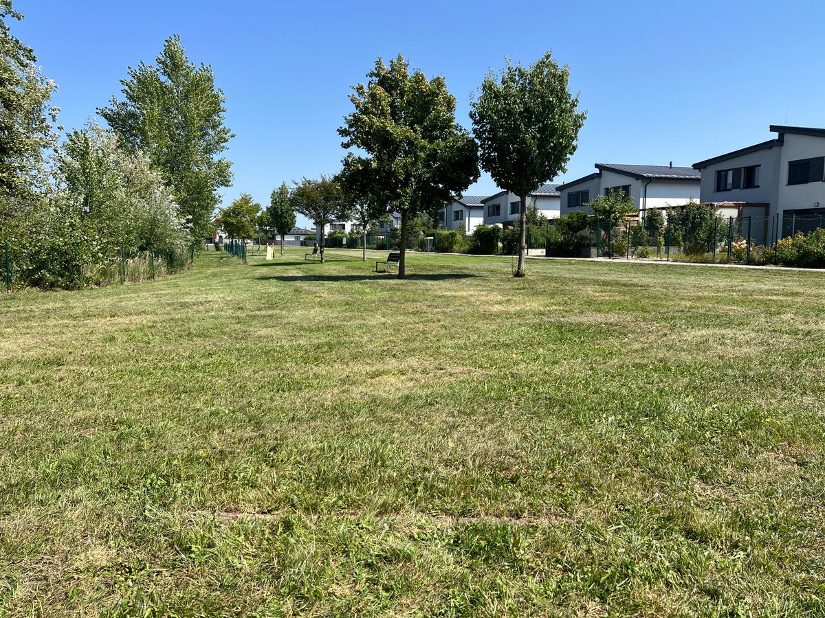 Wood in grass is teepad line and two trees is double mando.