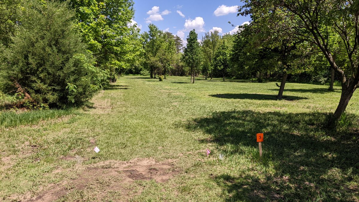 Tee #3