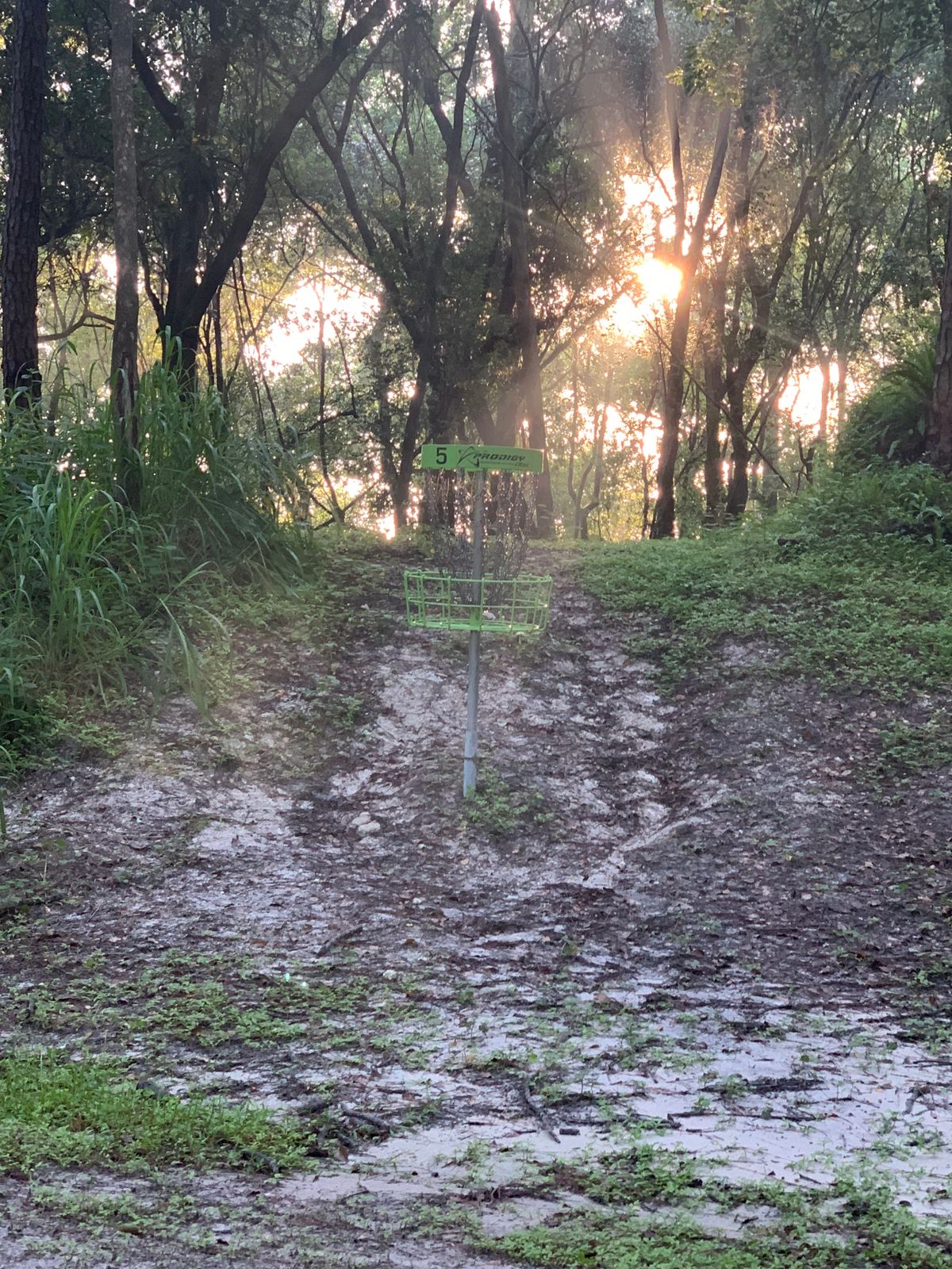 Hole 5 basket