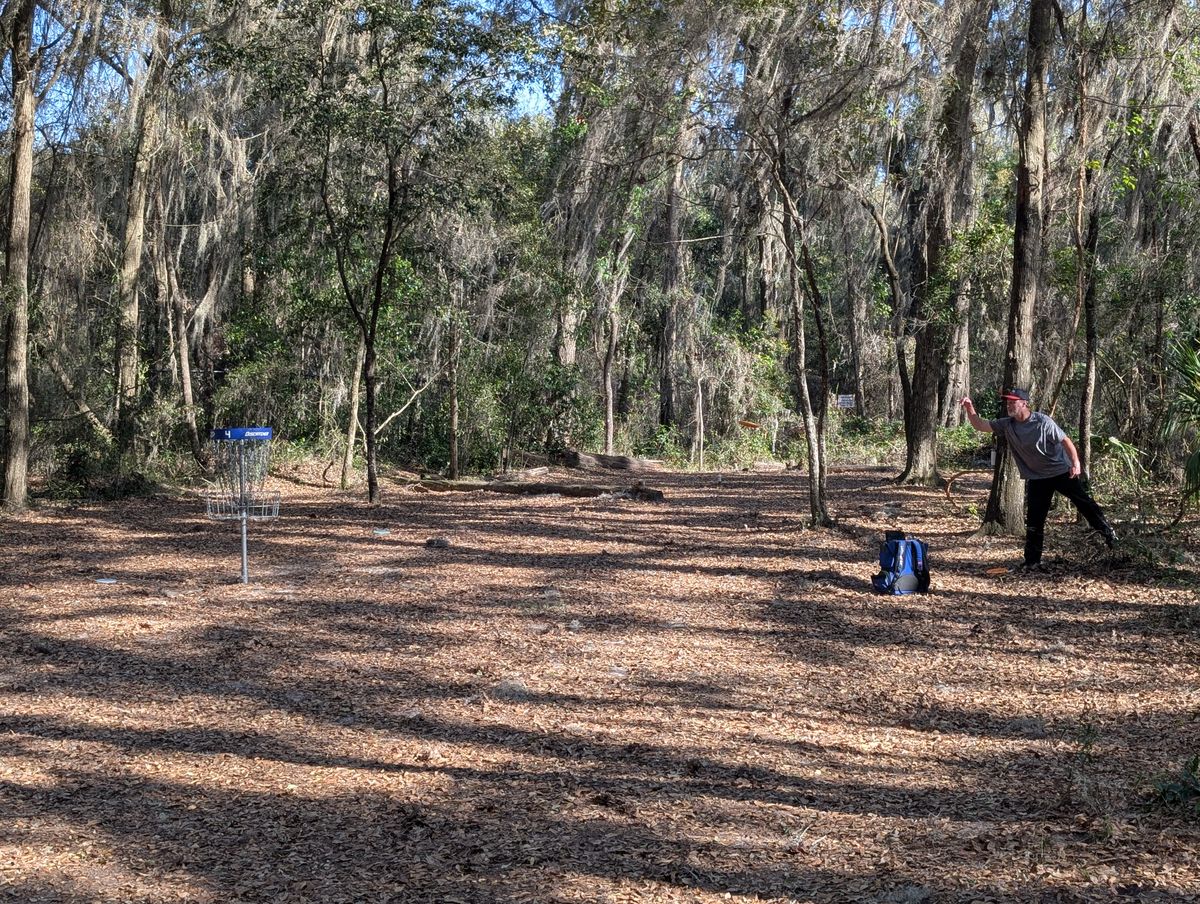 Short basket birdie putt