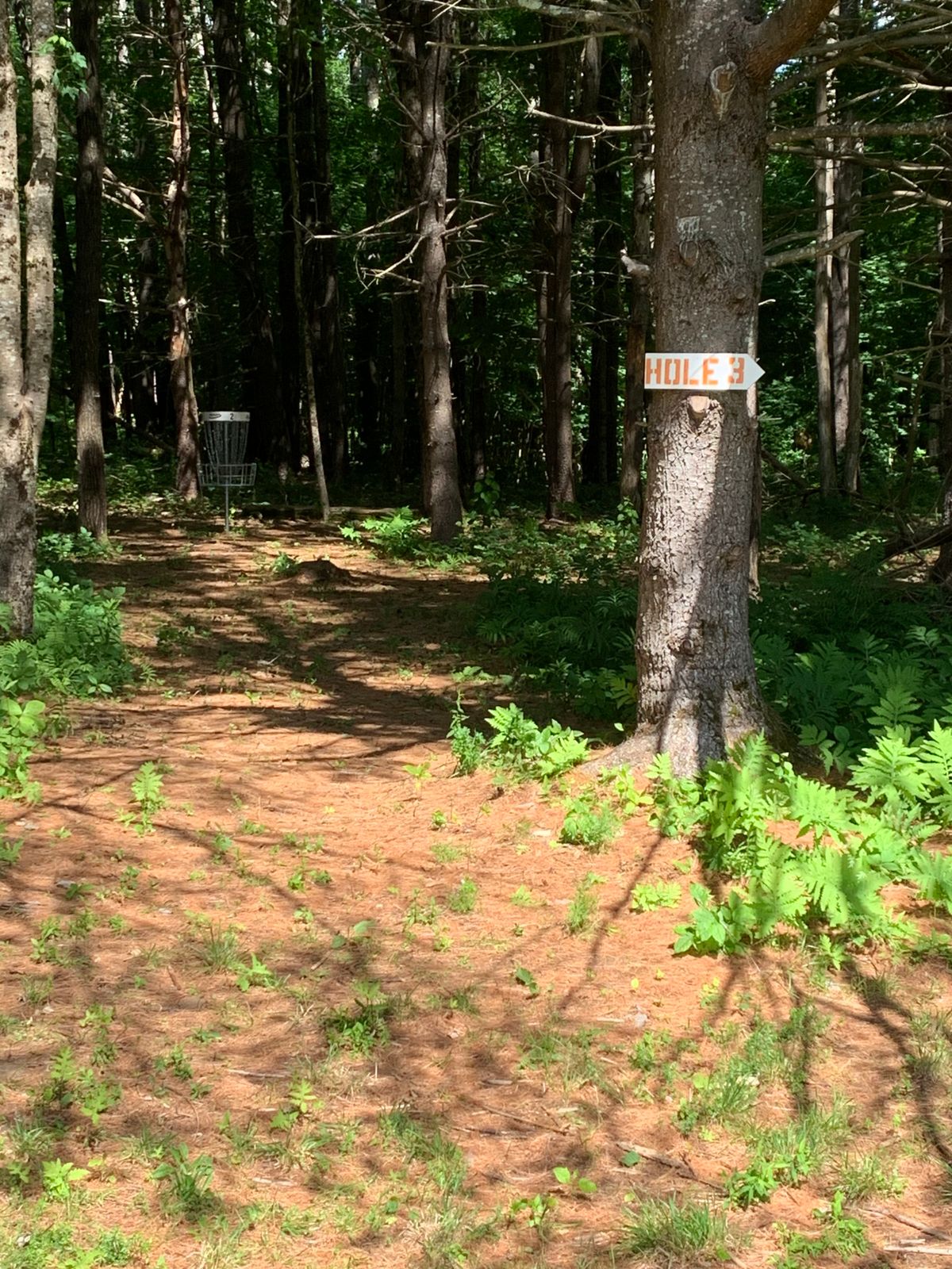 Tree gap into green on hole 2.