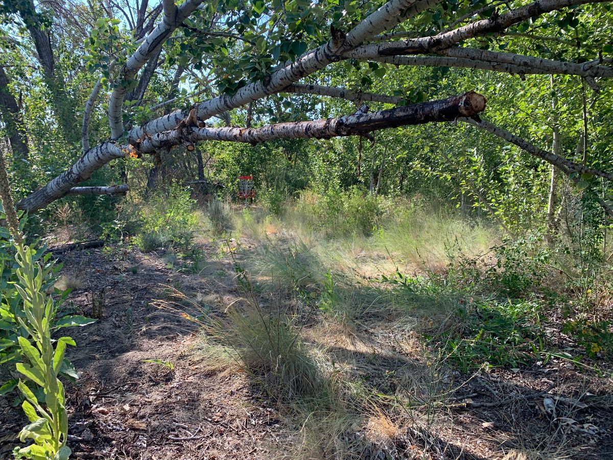 Hole 2.