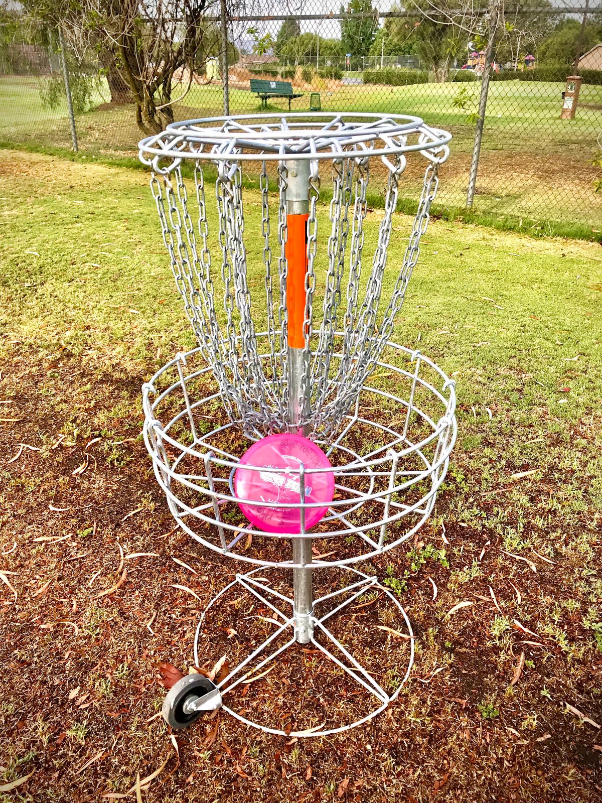 I had a 135’ throw in for birdie.  A ball golfer saw it go in and screamed, “Awesome!”