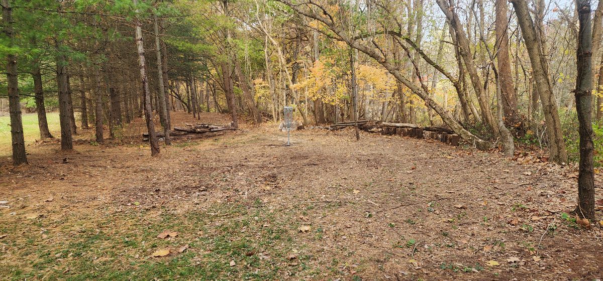 Hole 1 basket area