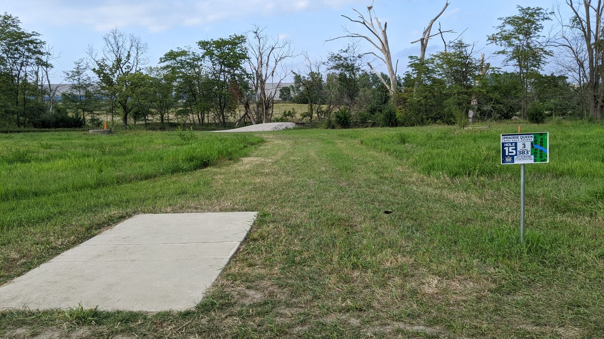 Tee 15
