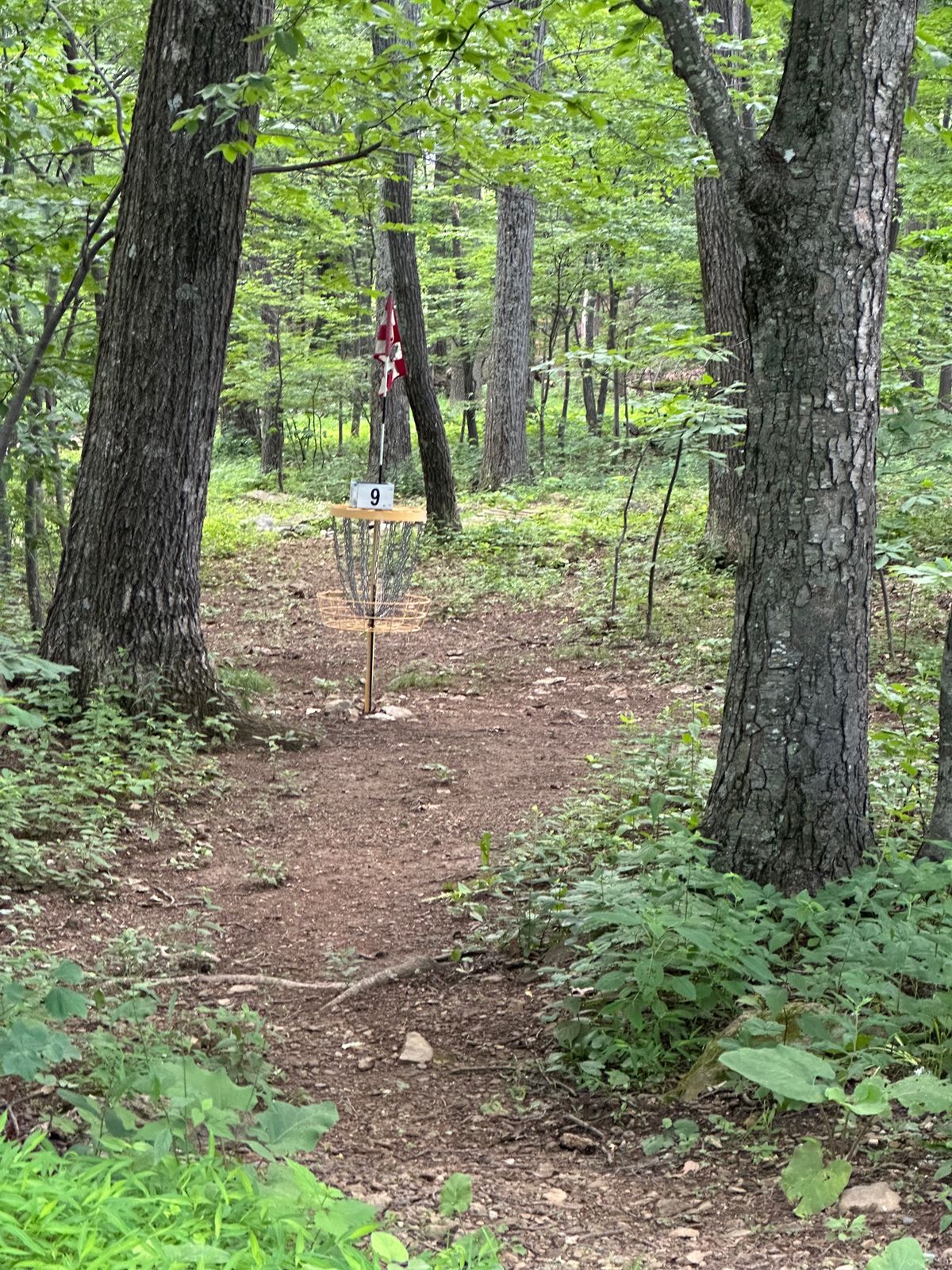 9th basket from the tee of hole 1