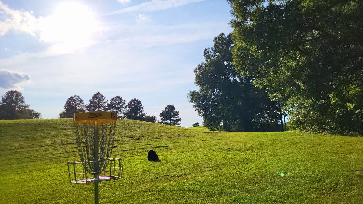 Hole #15 Basket on a beautiful August afternoon!