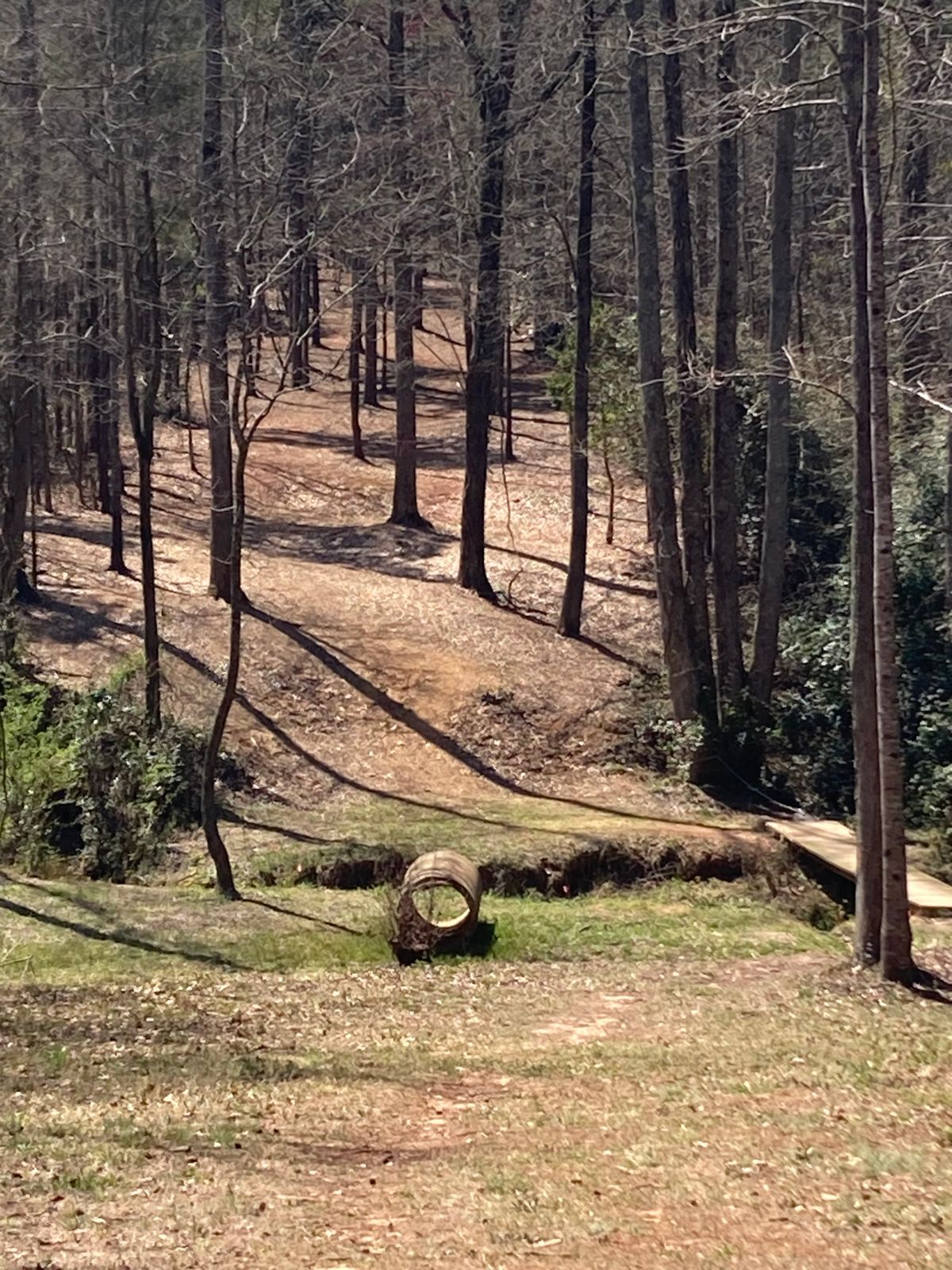 Hole 16, white tee