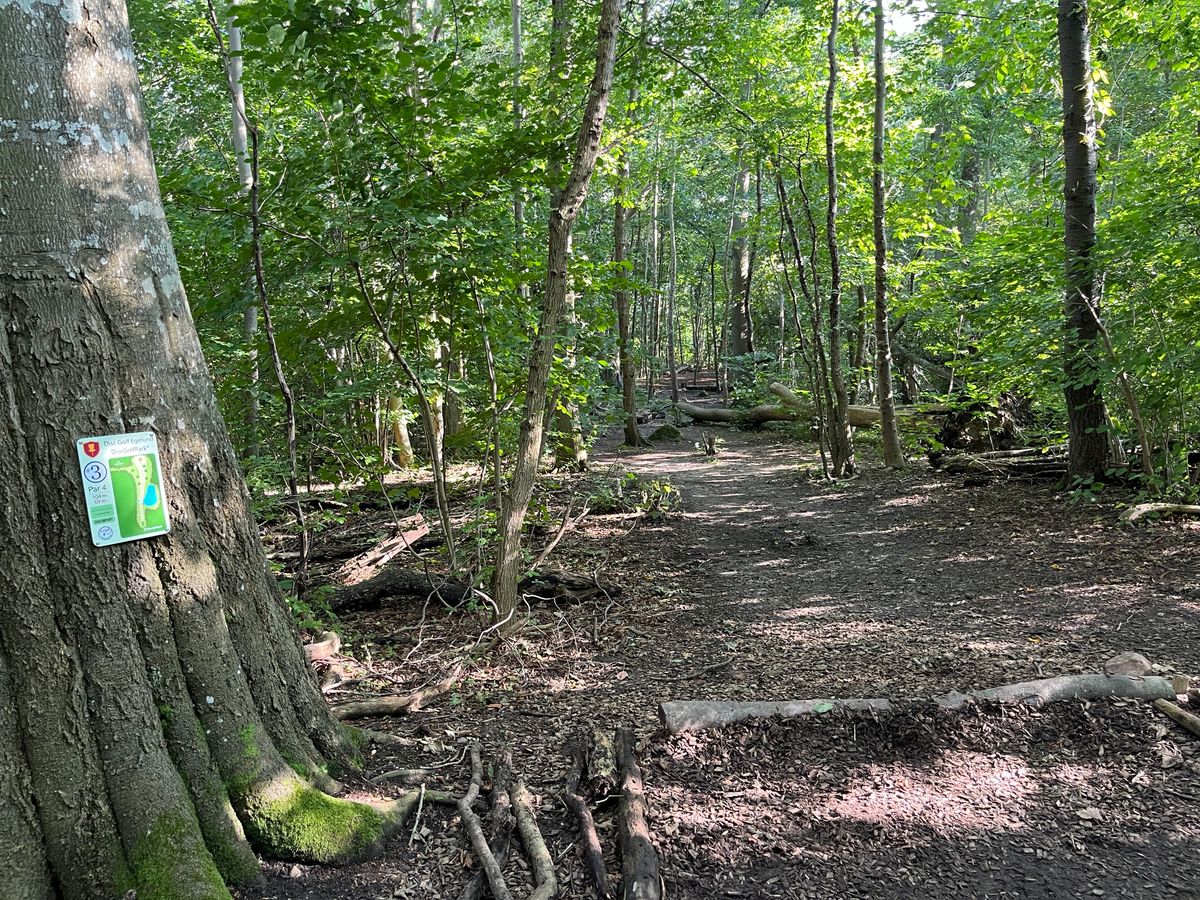 Hole 3