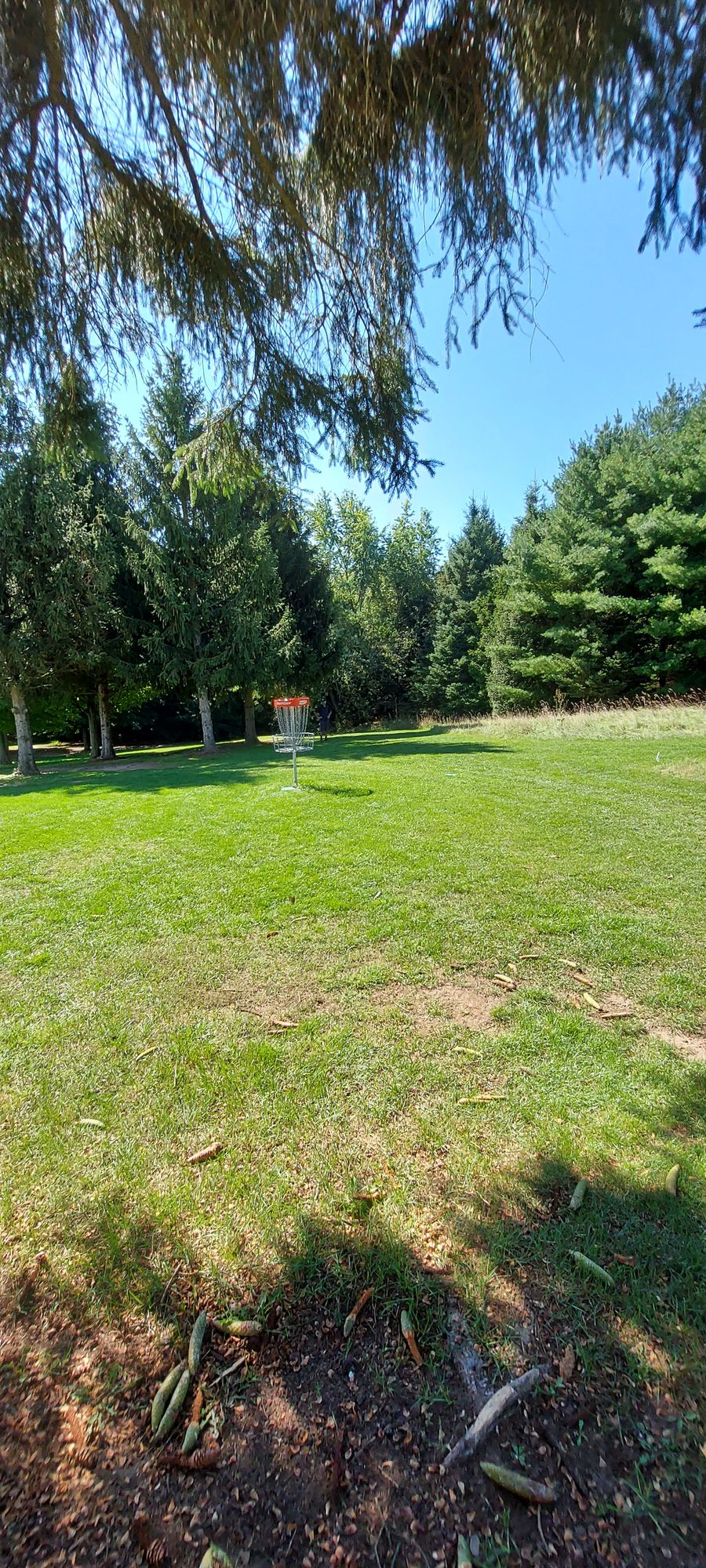 Upshot on hole 15.🇨🇦🌲🇨🇦🌲🇨🇦🌲🇨🇦