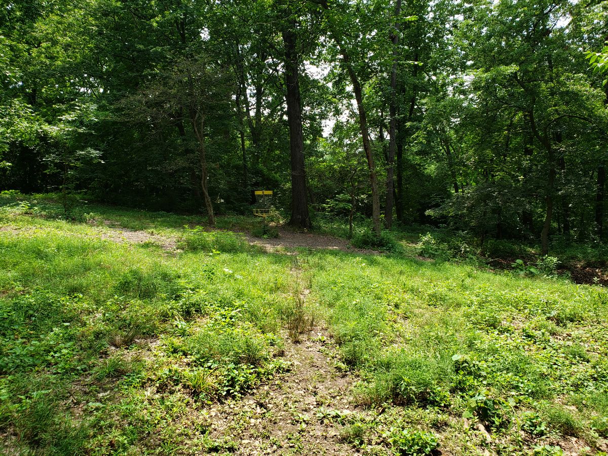 #6 Approach