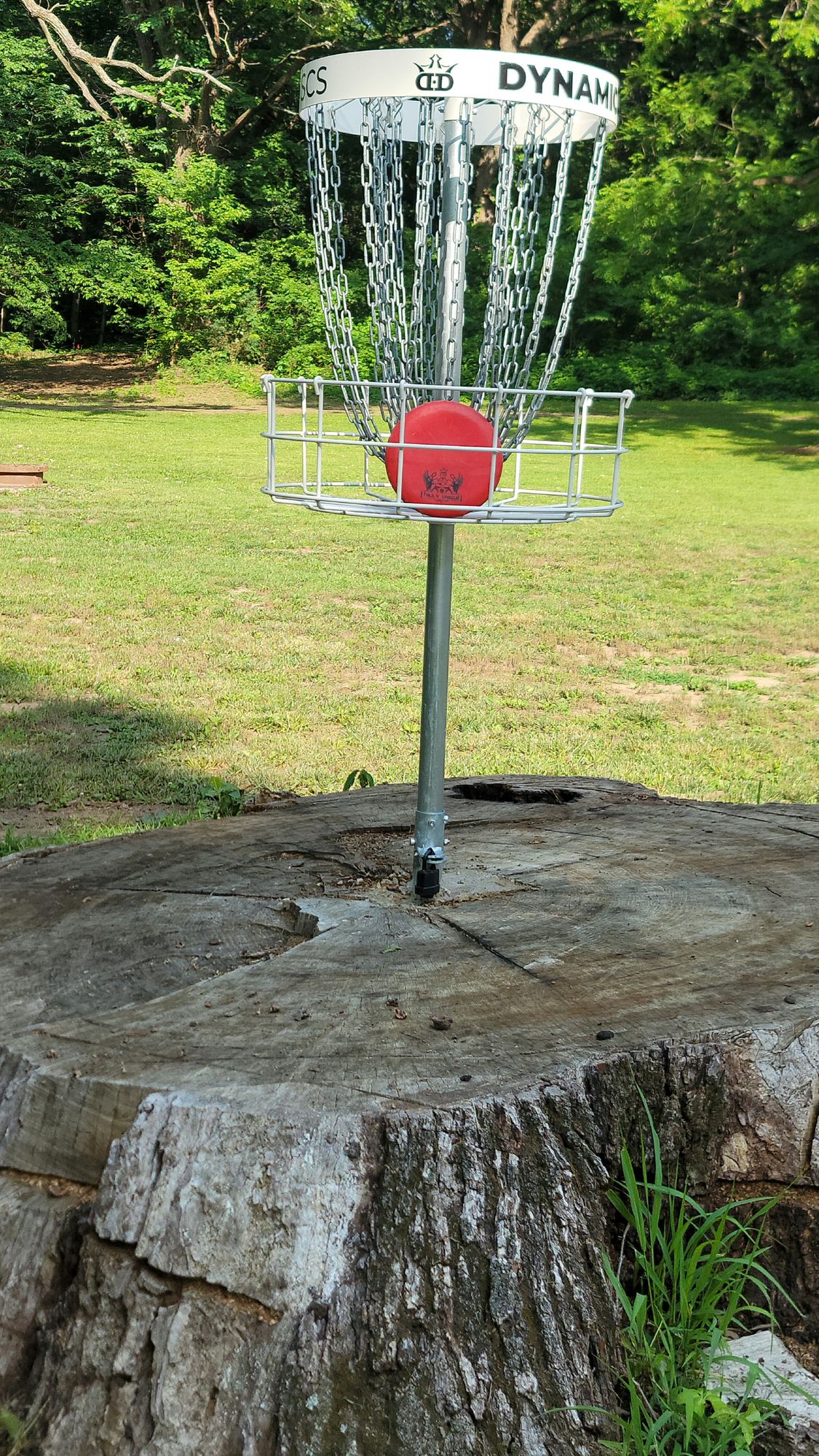 It's in on the stump!