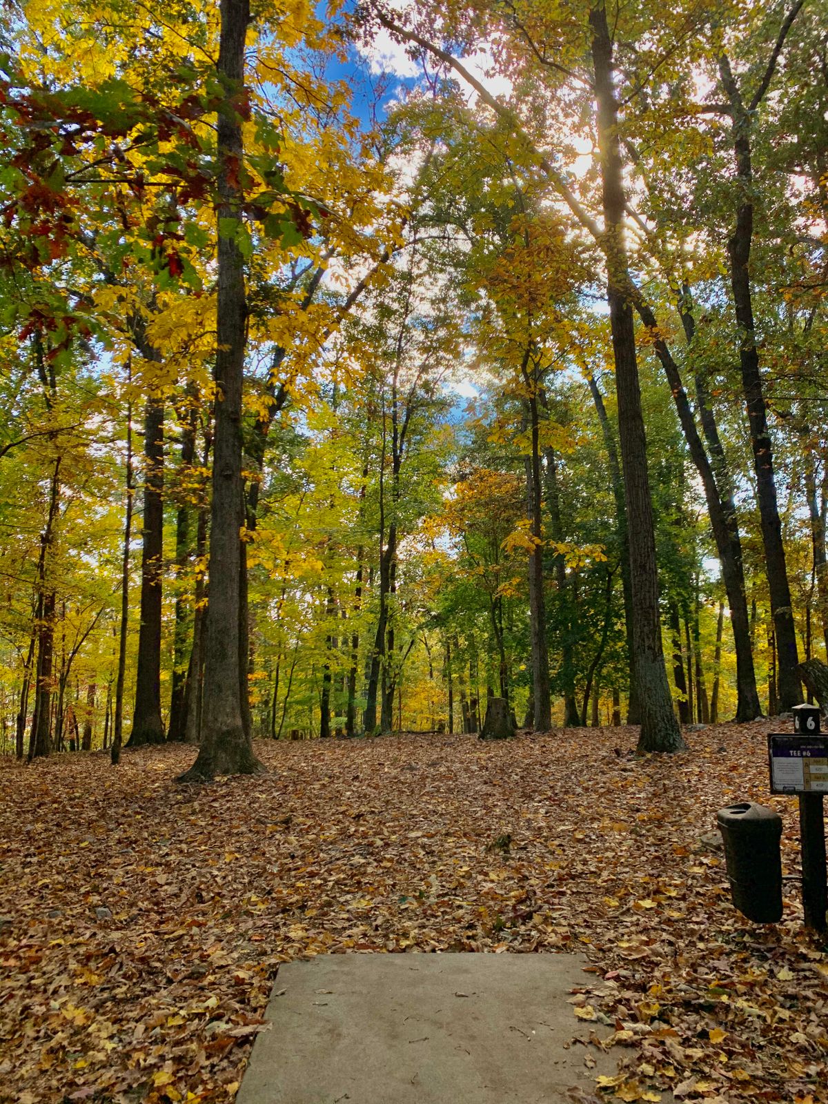 Hole 6 in the Fall