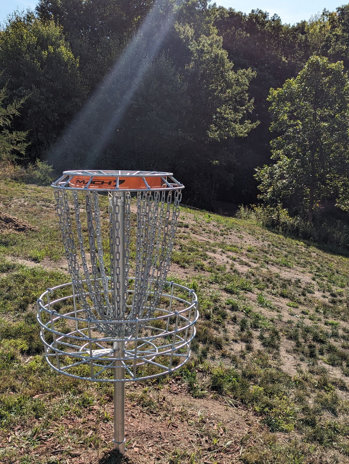 Short Basket looking back at fairway