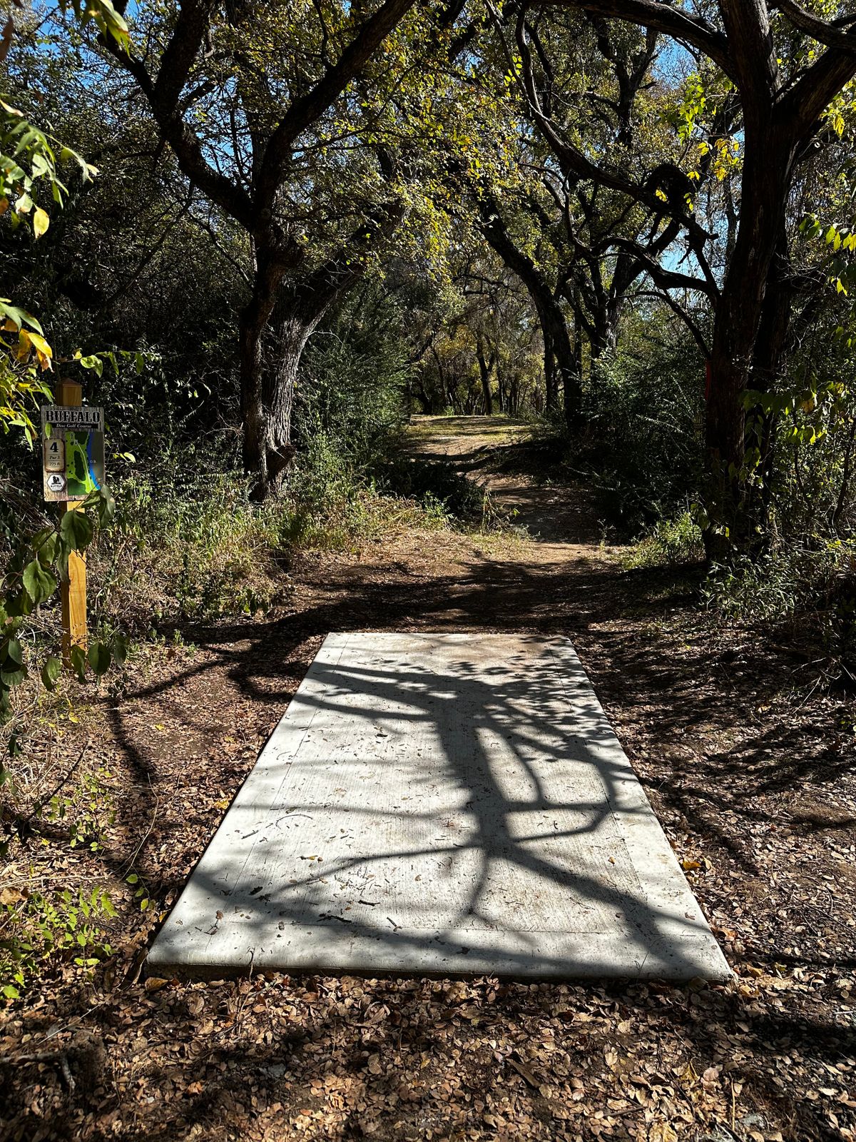 Hole 4