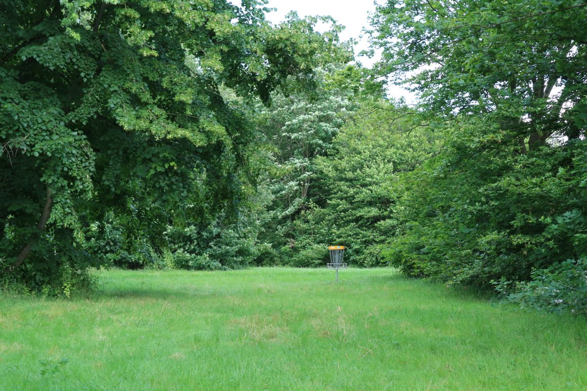 Basket from hole 7